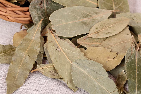 香葉是什么味道 香葉味道太重怎么辦 香葉是什么味道 香葉味道太重怎么辦