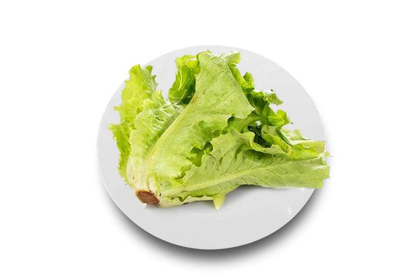 生菜能不能減肥 生菜減肥效果如何 生菜能不能減肥 生菜減肥效果如何