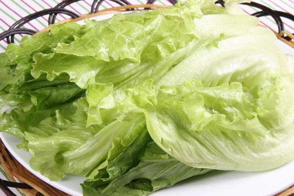 生菜常溫下可以放多久 生菜可以放冰箱保存嗎 生菜常溫下可以放多久 生菜可以放冰箱保存嗎
