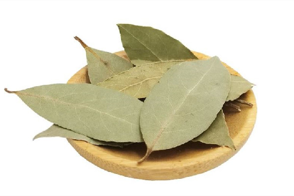 香葉可以煲湯嗎 香葉煲湯放多少 香葉可以煲湯嗎 香葉煲湯放多少