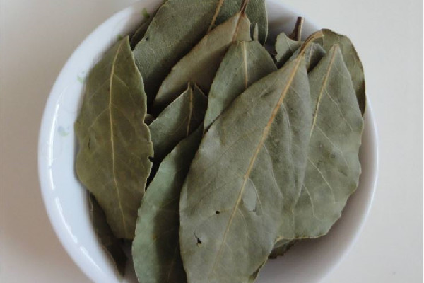 香葉放了三四年還可以用嗎 香葉發(fā)霉了還能用嗎 香葉放了三四年還可以用嗎 香葉發(fā)霉了還能用嗎