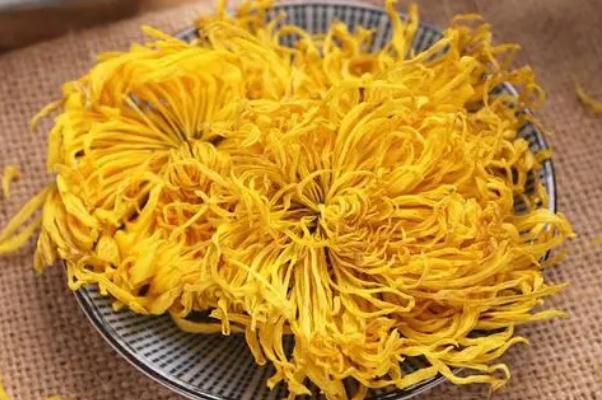 金絲皇菊對便秘有作用嗎 金絲皇菊的飲用注意事項(xiàng) 金絲皇菊對便秘有作用嗎 金絲皇菊的飲用注意事項(xiàng)