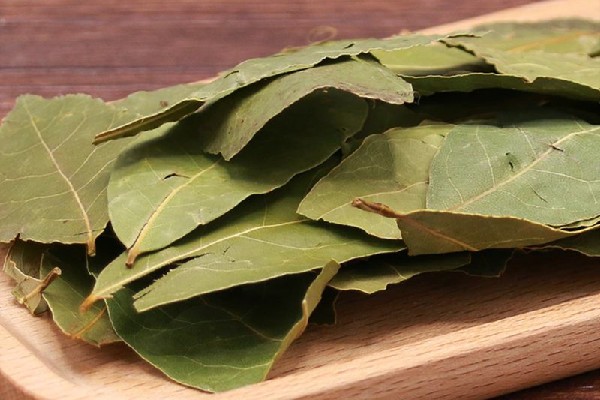 香葉是什么味道 香葉味道太重怎么辦 香葉是什么味道 香葉味道太重怎么辦