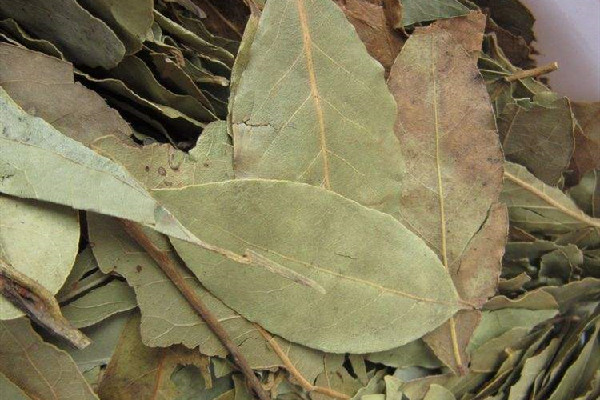 香葉在調(diào)料中的作用 香葉燉肉什么時候放 香葉在調(diào)料中的作用 香葉燉肉什么時候放