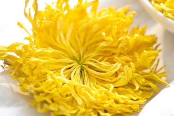 金絲皇菊的功效與作用 金絲皇菊和胎菊哪個好 金絲皇菊的功效與作用 金絲皇菊和胎菊哪個好