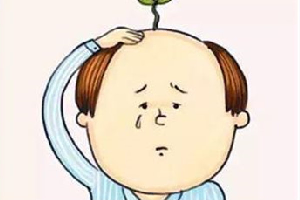 種植發(fā)際線有危險嗎 種植發(fā)際線會掉嗎 種植發(fā)際線有危險嗎 種植發(fā)際線會掉嗎