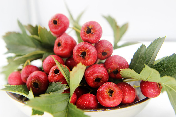 山楂泡水能降血壓嗎 山楂泡水能長期喝嗎 山楂泡水能降血壓嗎 山楂泡水能長期喝嗎