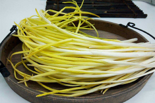 韭黃的功效和作用 韭黃可以壯陽嗎 韭黃的功效和作用 韭黃可以壯陽嗎