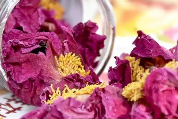 牡丹花茶會(huì)上火嗎 牡丹花茶的藥用價(jià)值 牡丹花茶會(huì)上火嗎 牡丹花茶的藥用價(jià)值