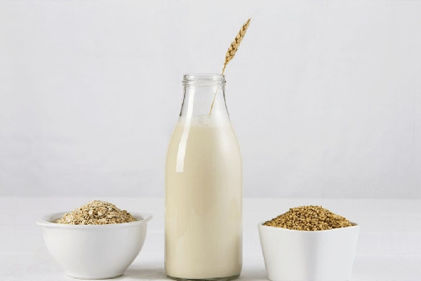 燕麥奶和牛奶的區(qū)別 燕麥奶和牛奶哪個好 燕麥奶和牛奶的區(qū)別 燕麥奶和牛奶哪個好
