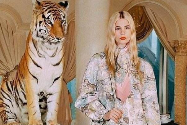 gucci是哪個(gè)集團(tuán)下的 gucci虎年廣告用了老虎 gucci是哪個(gè)集團(tuán)下的 gucci虎年廣告用了老虎