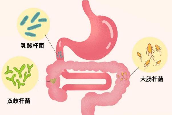 幽門(mén)螺桿菌的正常值范圍是多少 幽門(mén)螺桿菌傳染嗎傳播途徑是什么 幽門(mén)螺桿菌的正常值范圍是多少 幽門(mén)螺桿菌傳染嗎傳播途徑是什么