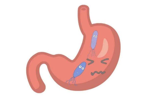 幽門(mén)螺桿菌的正常值范圍是多少 幽門(mén)螺桿菌傳染嗎傳播途徑是什么 幽門(mén)螺桿菌的正常值范圍是多少 幽門(mén)螺桿菌傳染嗎傳播途徑是什么