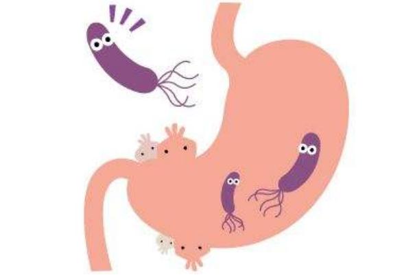 幽門螺桿菌最怕的食物 幽門螺桿菌可以自愈嗎 幽門螺桿菌最怕的食物 幽門螺桿菌可以自愈嗎