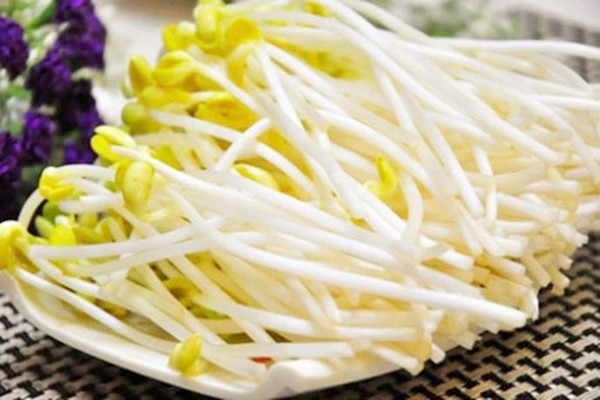 黃豆芽的熱量是多少大卡 黃豆芽適合減肥吃嗎 黃豆芽的熱量是多少大卡 黃豆芽適合減肥吃嗎