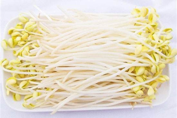 黃豆芽會引起脹氣嗎 黃豆芽吃了脹氣怎么辦 黃豆芽會引起脹氣嗎 黃豆芽吃了脹氣怎么辦