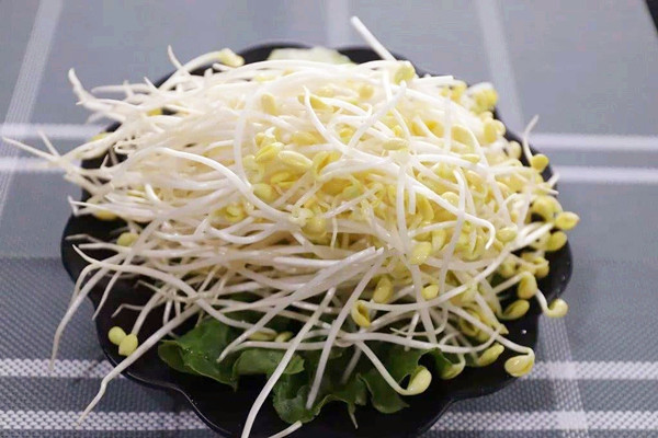 黃豆芽吃了會(huì)上火嗎 黃豆芽吃了會(huì)回奶嗎 黃豆芽吃了會(huì)上火嗎 黃豆芽吃了會(huì)回奶嗎