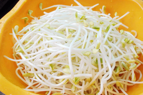 黃豆芽的嘌呤含量高嗎 黃豆芽對身體有什么好處 黃豆芽的嘌呤含量高嗎 黃豆芽對身體有什么好處