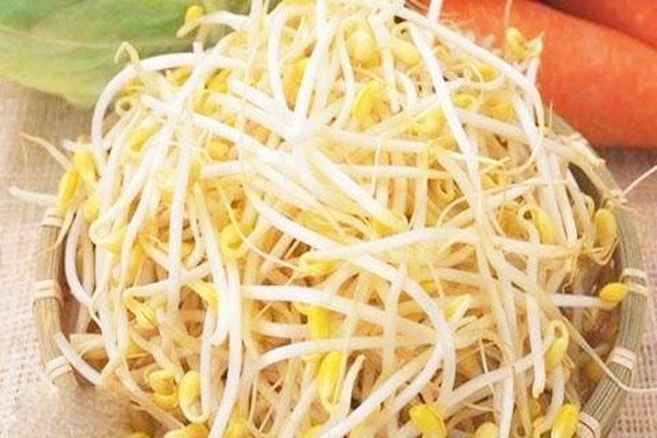 黃豆芽有什么營養(yǎng)價值 黃豆芽會中毒嗎 黃豆芽有什么營養(yǎng)價值 黃豆芽會中毒嗎