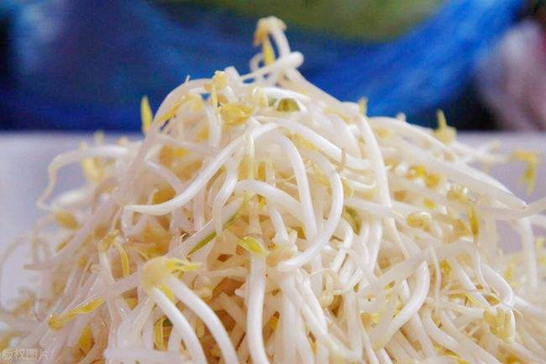 黃豆芽有什么營養(yǎng)價值 黃豆芽會中毒嗎 黃豆芽有什么營養(yǎng)價值 黃豆芽會中毒嗎