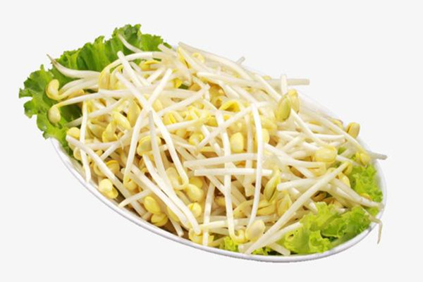 黃豆芽能不能生吃 黃豆芽多久能煮熟 黃豆芽能不能生吃 黃豆芽多久能煮熟