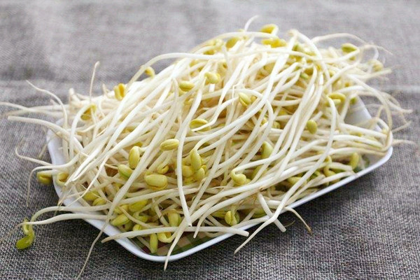 黃豆芽的適宜人群 黃豆芽不適合哪些人吃 黃豆芽的適宜人群 黃豆芽不適合哪些人吃