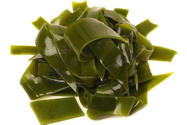 海帶是不是藻類(lèi)植物 海帶是不是涼性的 海帶是不是藻類(lèi)植物 海帶是不是涼性的