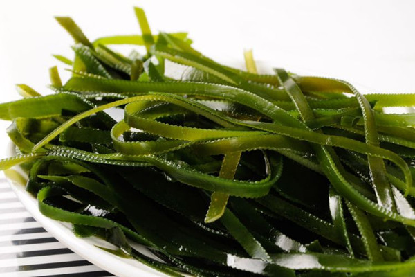 海帶吃了會(huì)變黑嗎 海帶吃了會(huì)脹氣嗎 海帶吃了會(huì)變黑嗎 海帶吃了會(huì)脹氣嗎