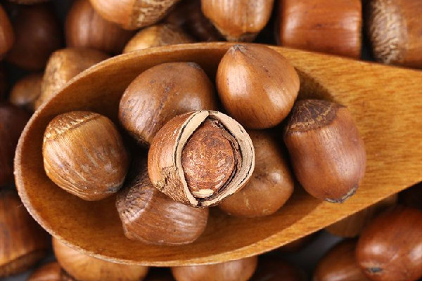 榛子的功效和作用 榛子適合小孩子吃嗎 榛子的功效和作用 榛子適合小孩子吃嗎