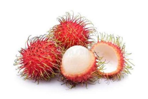 紅毛丹的禁忌 紅毛丹成熟的季節(jié)是幾月 紅毛丹的禁忌 紅毛丹成熟的季節(jié)是幾月