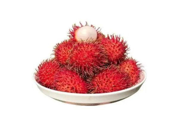 紅毛丹的禁忌 紅毛丹成熟的季節(jié)是幾月 紅毛丹的禁忌 紅毛丹成熟的季節(jié)是幾月