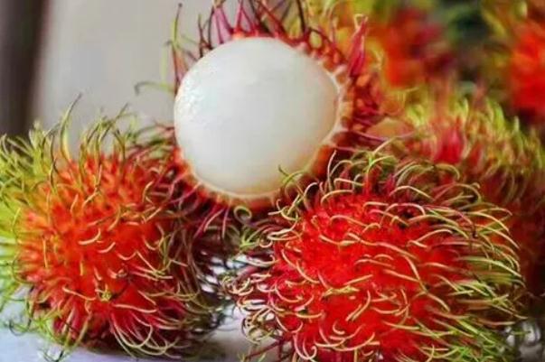 紅毛丹是進口水果嗎 紅毛丹它是屬于越南的水果嗎 紅毛丹是進口水果嗎 紅毛丹它是屬于越南的水果嗎