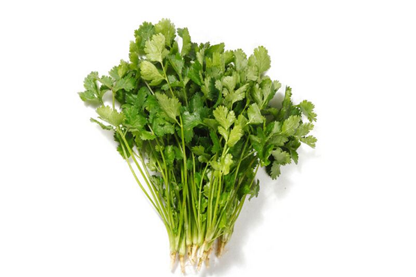 香菜能降血壓?jiǎn)?香菜能降血糖嗎 香菜能降血壓?jiǎn)?香菜能降血糖嗎