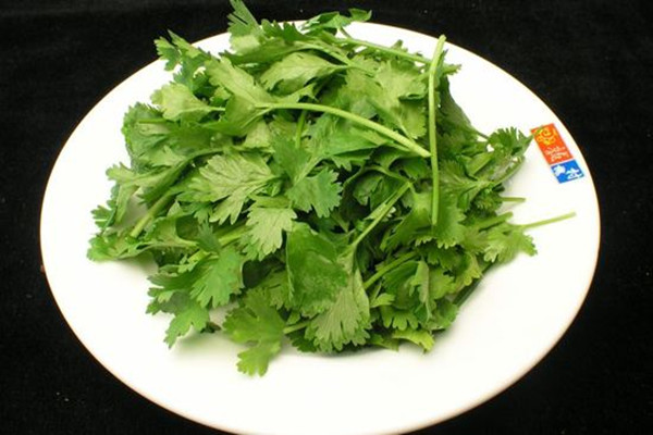 香菜會不會上火 香菜會不會回奶 香菜會不會上火 香菜會不會回奶