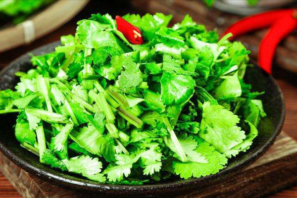 香菜的營養(yǎng)價值有哪些 香菜不適合什么人吃