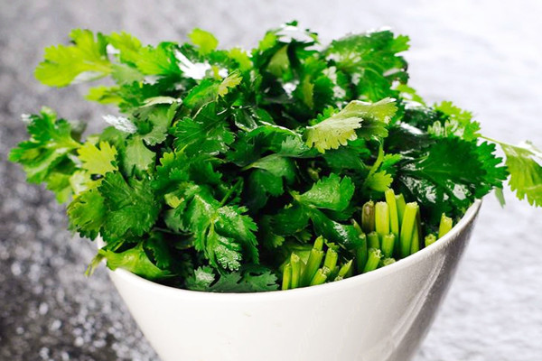 香菜不能和什么一起吃 香菜能和菠菜一起吃嗎 香菜不能和什么一起吃 香菜能和菠菜一起吃嗎