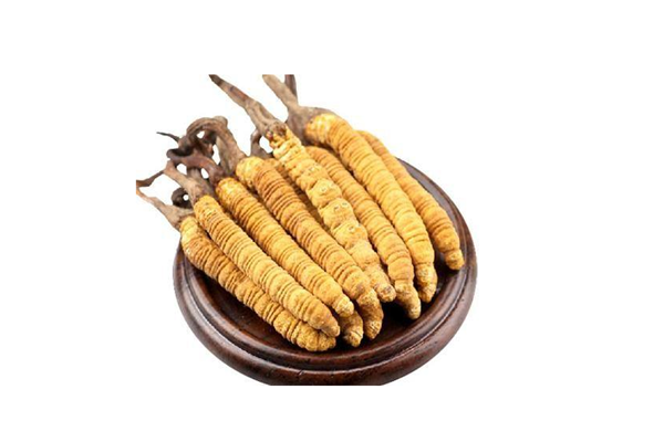 冬蟲夏草是不是蟲子 冬蟲夏草是如何形成的 冬蟲夏草是不是蟲子 冬蟲夏草是如何形成的