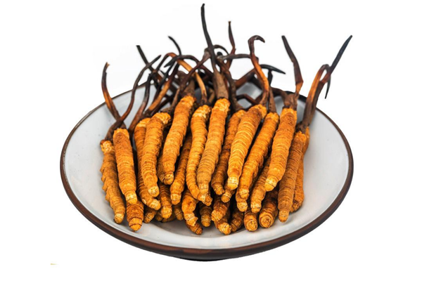 冬蟲夏草的產(chǎn)地是哪里 冬蟲夏草聞起來什么味道 冬蟲夏草的產(chǎn)地是哪里 冬蟲夏草聞起來什么味道