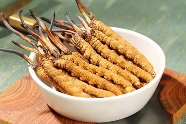 冬蟲(chóng)夏草如何選購(gòu) 冬蟲(chóng)夏草如何存放