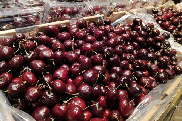 車厘子是紅色的好還是深色的好 車厘子買哪種最好