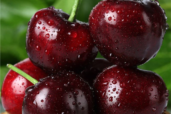 車?yán)遄佑邢x子嗎 車?yán)遄釉趺辞逑床鸥蓛? alt=