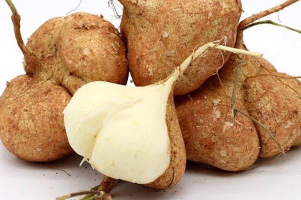 涼薯是涼性還是熱性 涼薯上火還是降火 涼薯是涼性還是熱性 涼薯上火還是降火