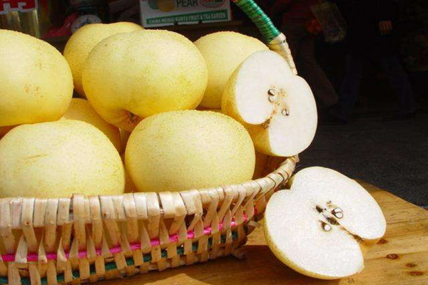 雪梨一天吃幾個(gè)合適 雪梨一天什么時(shí)候吃最好 雪梨一天吃幾個(gè)合適 雪梨一天什么時(shí)候吃最好