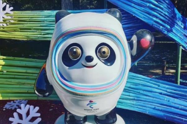 冰墩墩曾考慮過叫冰墩兒 “冰墩墩”為何這么火 冰墩墩曾考慮過叫冰墩兒 “冰墩墩”為何這么火