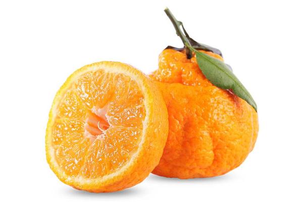 丑橘對人體有什么好處 胃炎能吃丑橘嗎 丑橘對人體有什么好處 胃炎能吃丑橘嗎