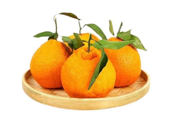 丑橘的功效與作用 丑橘是上火的還是去火的 