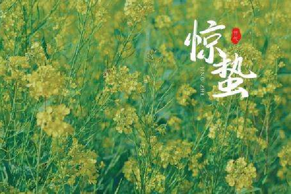 驚蟄會(huì)下雨嗎 驚蟄天氣有什么變化