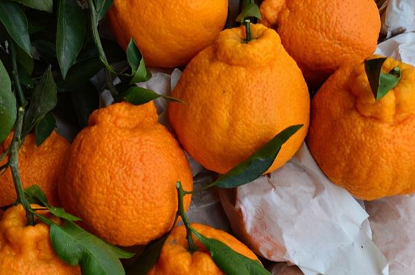 丑橘的熱量 丑橘含糖量高嗎 丑橘的熱量 丑橘含糖量高嗎