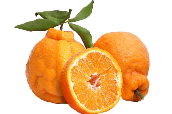 丑橘對人體有什么好處 胃炎能吃丑橘嗎 丑橘對人體有什么好處 胃炎能吃丑橘嗎