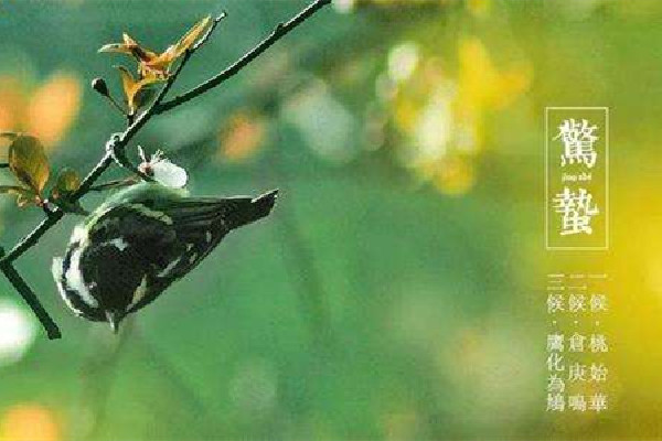 驚蟄是第幾個(gè)節(jié)氣 驚蟄是2022年的幾月幾日 驚蟄是第幾個(gè)節(jié)氣 驚蟄是2022年的幾月幾日